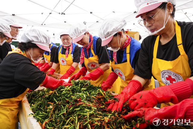 18일 오전 대한적십자사 경기도지사에서 열린 '하지엔 김장하지'에서 대한적십자가, 일본적십자사 봉사원들이 열무김치를 담그고 있다. 이번 봉사활동은 60여명의 봉사원들이 김장한 열무김치 5kg을 지역 취약계층에 전달할 예정이다. 홍기웅기자