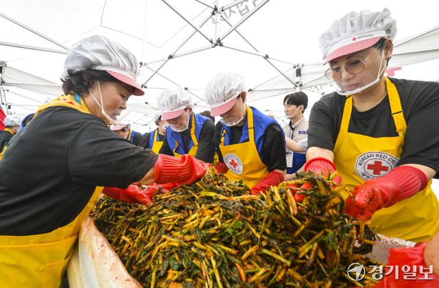 18일 오전 대한적십자사 경기도지사에서 열린 '하지엔 김장하지'에서 대한적십자가, 일본적십자사 봉사원들이 열무김치를 담그고 있다. 이번 봉사활동은 60여명의 봉사원들이 김장한 열무김치 5kg을 지역 취약계층에 전달할 예정이다. 홍기웅기자