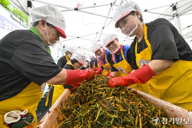 18일 오전 대한적십자사 경기도지사에서 열린 '하지엔 김장하지'에서 대한적십자가, 일본적십자사 봉사원들이 열무김치를 담그고 있다. 이번 봉사활동은 60여명의 봉사원들이 김장한 열무김치 5kg을 지역 취약계층에 전달할 예정이다. 홍기웅기자