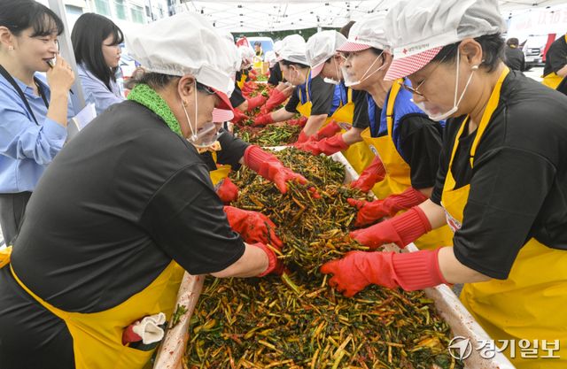 18일 오전 대한적십자사 경기도지사에서 열린 '하지엔 김장하지'에서 대한적십자가, 일본적십자사 봉사원들이 열무김치를 담그고 있다. 이번 봉사활동은 60여명의 봉사원들이 김장한 열무김치 5kg을 지역 취약계층에 전달할 예정이다. 홍기웅기자