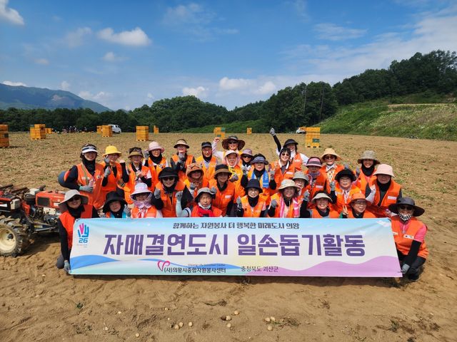 의왕시종합자원봉사센터는 의왕시 자매결연 도시인 충북 괴산군에서 감자수확을 돕는 농촌 일손 돕기 봉사 활동을 펼쳤다. 의왕시종합자원봉사센터 제공