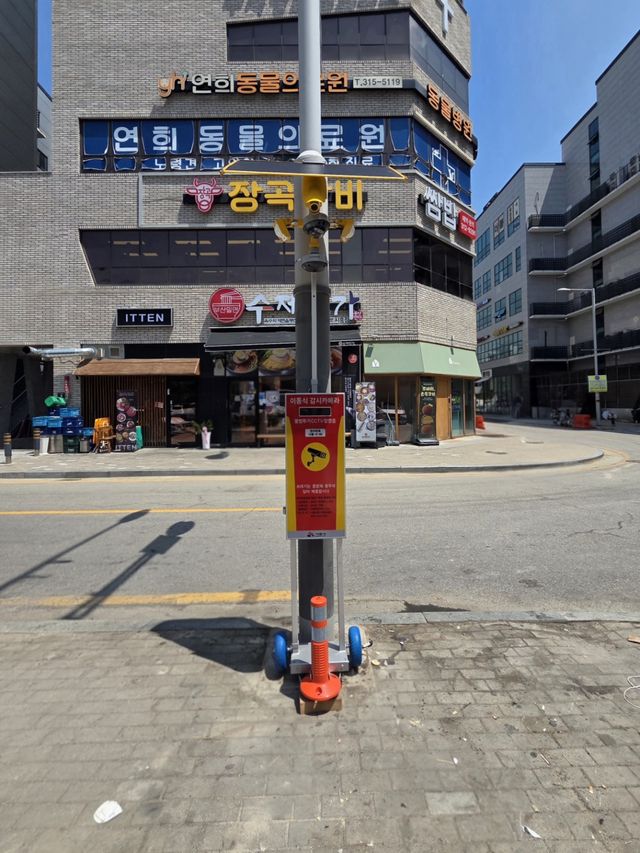관내 무단투기 취약지역에 설치한 이동식 감시카메라 모습. 시흥시 제공