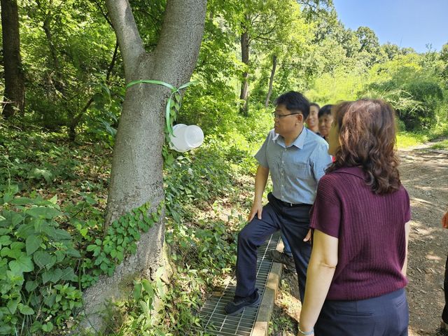 김귀배 안양시 환경국장을 비롯한 관계 공무원들이 23일 오전 비산체육공원 인근 관악산 등산로를 방문해 유인제 포집기 설치 현황을 점검했다. 안양시 제공