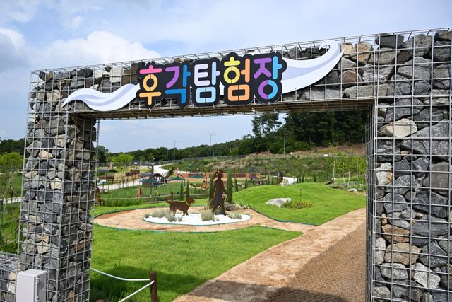 반려견들의 후각을 자극하는 후각탐험장 모습