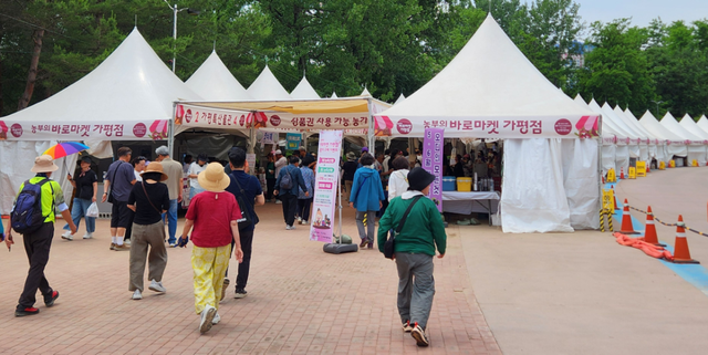 지난봄 자라섬 꽃 페스타와 연계해 운영된 ‘바로마켓 가평점’이 지역 농특산물을 구매하려는 방문객들로 붐비고 있다. 가평군 제공