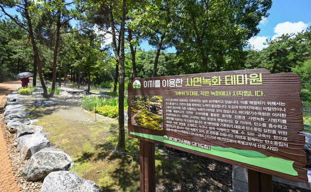 바다향기 수목원 사면녹화 테마원 공사 완료 [포토뉴스]