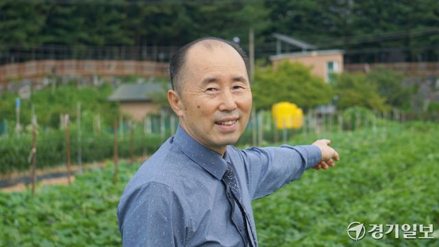 이종억 고봉동지역사회보장협의체 민간위원장이 캘 고구마가 자라고 있는 ‘사랑의 텃밭’을 가리키고 있다. 신진욱기자