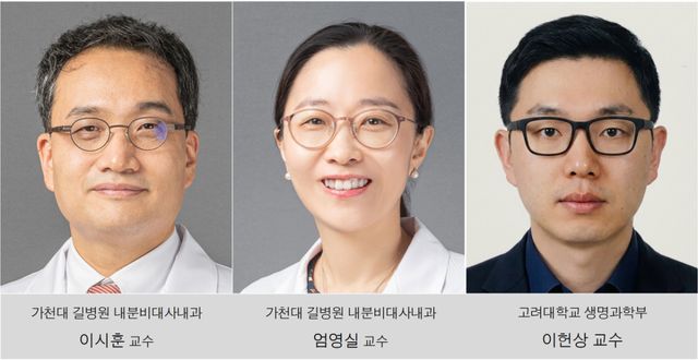 왼쪽부터 가천대 길병원 내분비대사내과 이시훈·엄영실 교수, 고려대 생명과학부 이헌상 교수. 길병원 제공