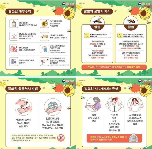 벌쏘임 예방법 카드뉴스. 질병관리청 제공