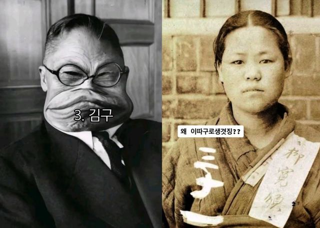 각종사회관계망서비스(SNS)에 게시된 독립운동가 조롱 게시물. 서경덕 교수 제공