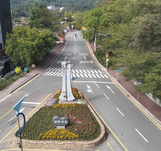 이천시가 설봉공원에 가을꽃 4천200본을 식재해 시민들에게 아름다운 볼거리를 제공하고 있다. 이천시 제공