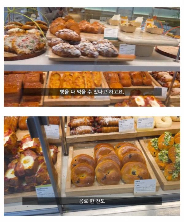 뚜레쥬르 9900원 빵 뷔페 근황 | 인스티즈