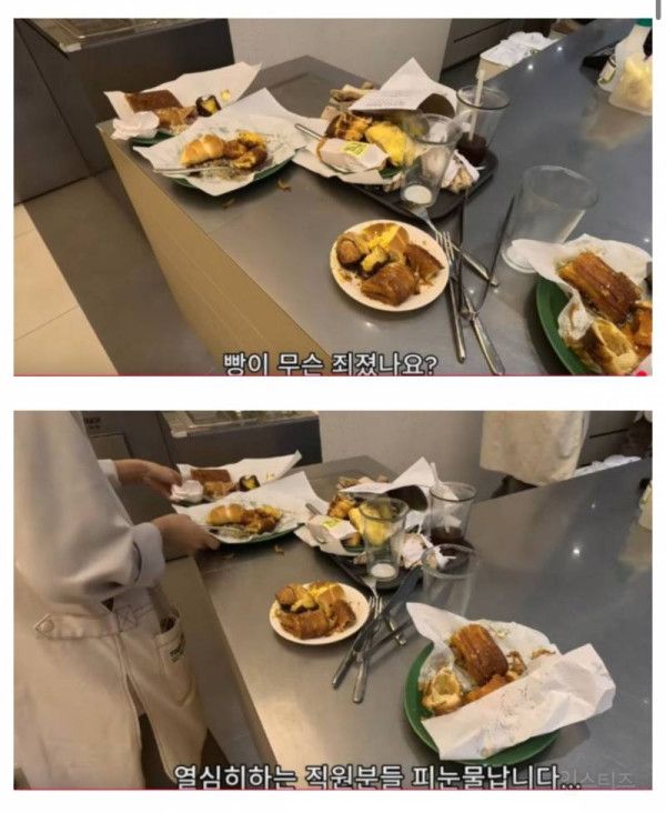 뚜레쥬르 9900원 빵 뷔페 근황 | 인스티즈