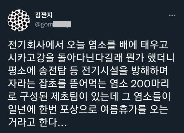 13 어느 전기회사의 GOAT.jpg