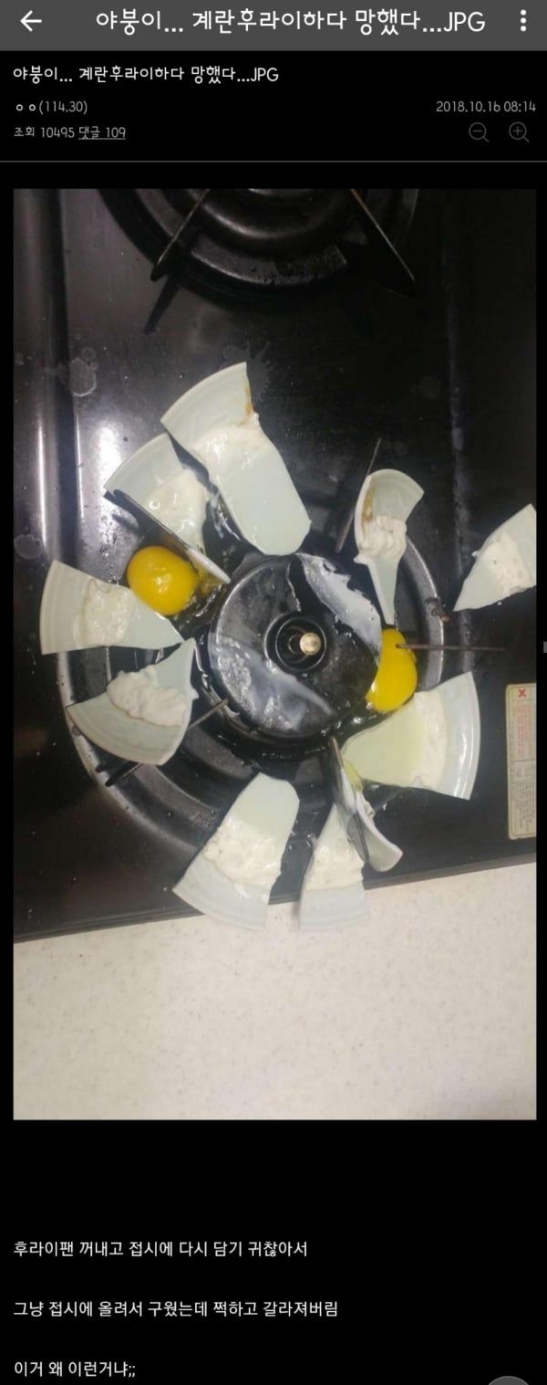 19 계란후라이 하다가 망한 야갤러.jpg