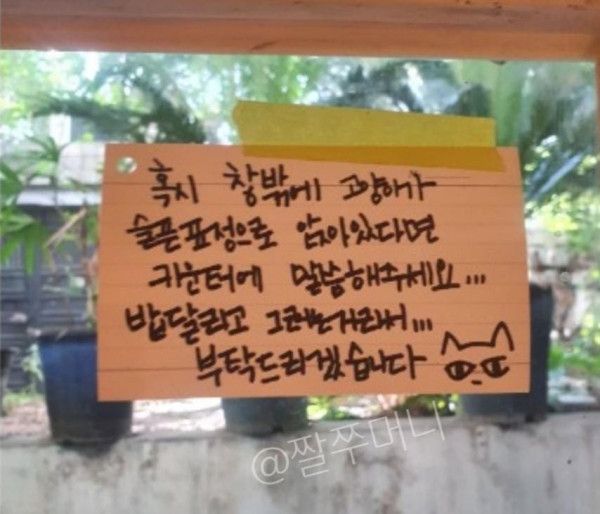 5 닝겐 사용법을 깨달은 고냥님.jpg