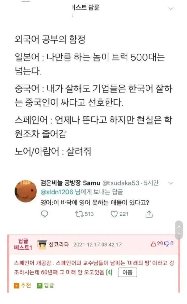 15 외국어 공부의 현실.png.jpg