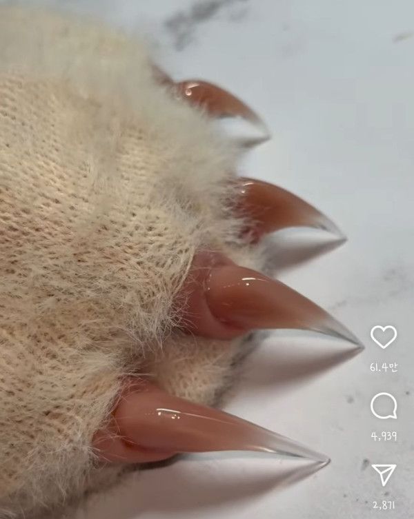 요즘 유행한다는 고양이발톱 네일아트 | 인스티즈