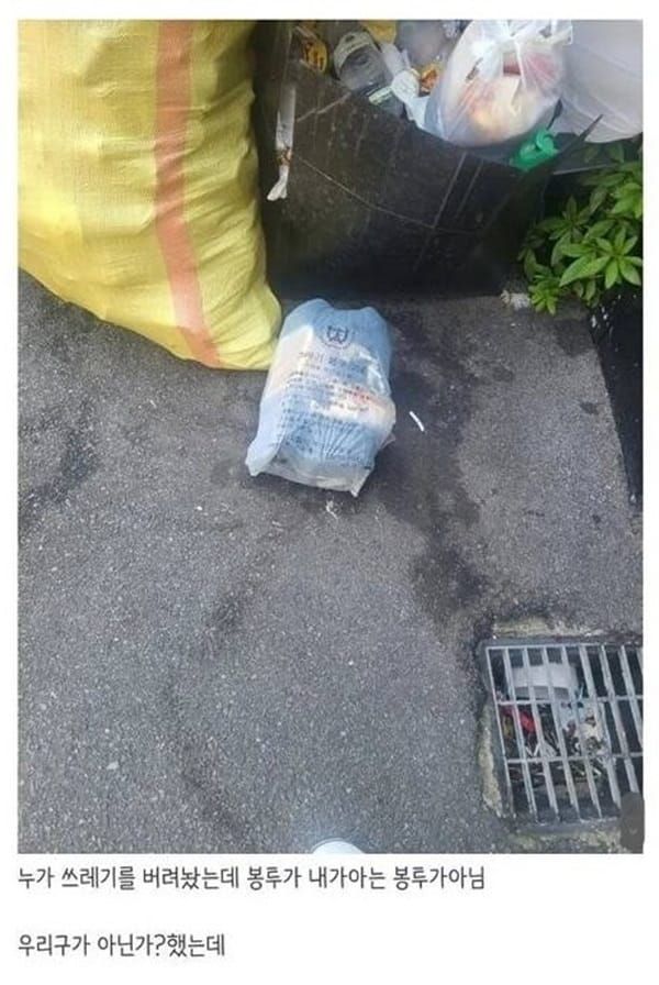 9 분명 부산은 맞는데.jpg