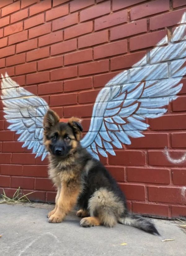 Screenshot 2025-05-09 at 9.04.09 AM.png