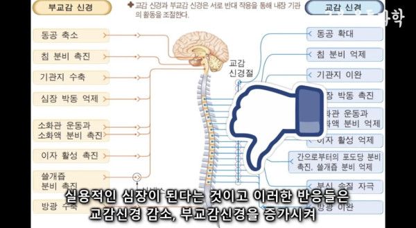 달리기를 꼭 해야하는 이유