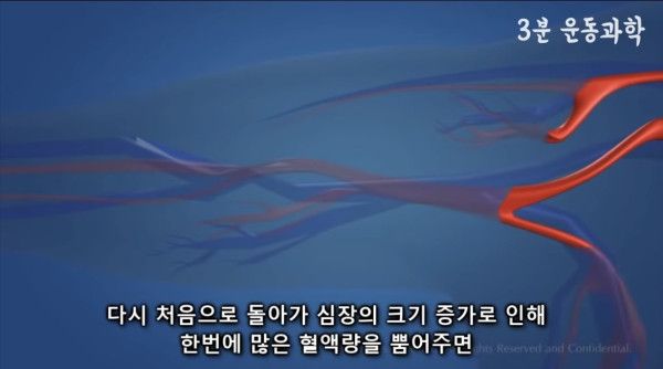 달리기를 꼭 해야하는 이유