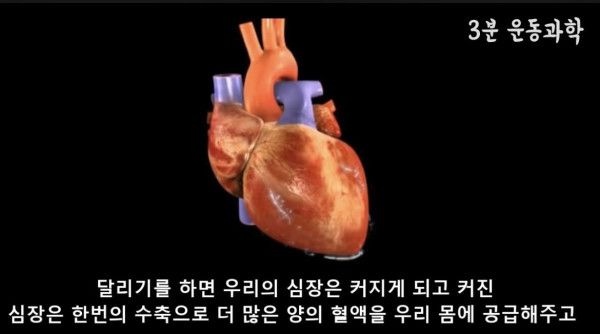 달리기를 꼭 해야하는 이유