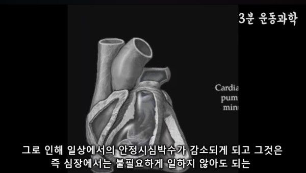 달리기를 꼭 해야하는 이유