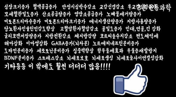 달리기를 꼭 해야하는 이유