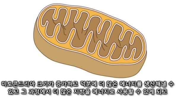 달리기를 꼭 해야하는 이유