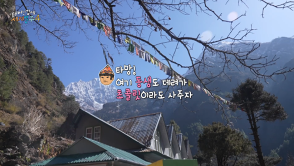 카메라 꺼지고 오열했다는 태계일주 기안편 | 인스티즈