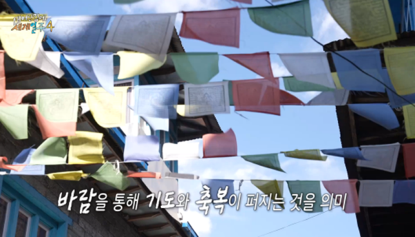 카메라 꺼지고 오열했다는 태계일주 기안편 | 인스티즈