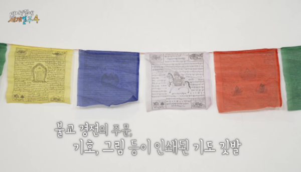 카메라 꺼지고 오열했다는 태계일주 기안편 | 인스티즈