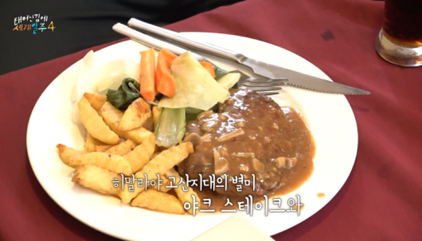 카메라 꺼지고 오열했다는 태계일주 기안편 | 인스티즈