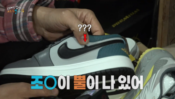 카메라 꺼지고 오열했다는 태계일주 기안편 | 인스티즈