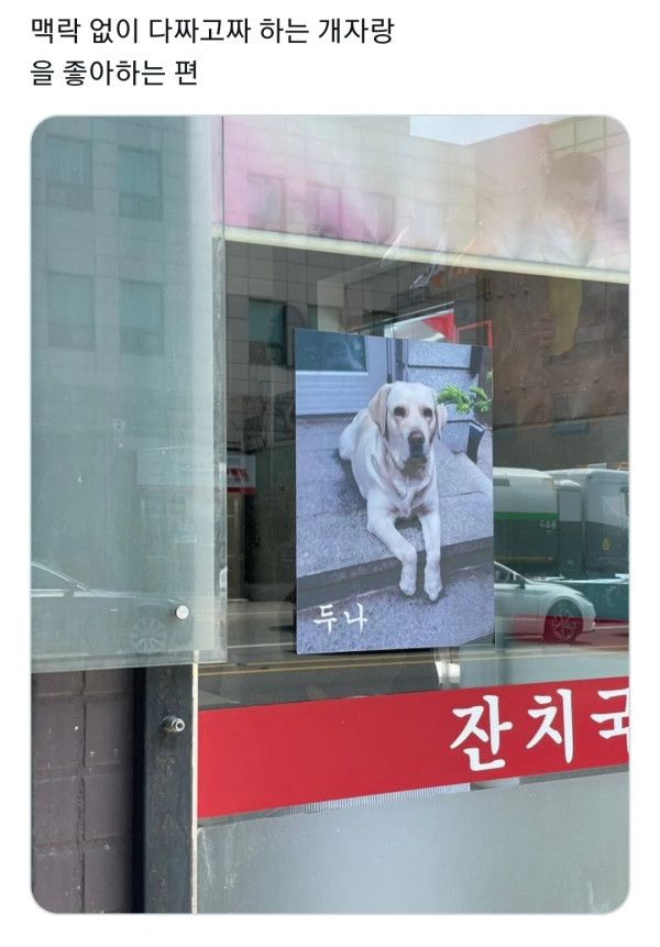 12 맥락없이 다짜고짜 하는 개자랑을 좋아하는 편.jpg