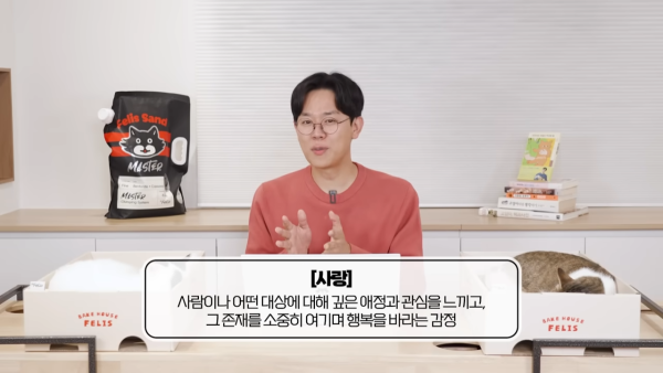 미야옹철-고양이는 집사를 사랑하지 않는다 | 인스티즈