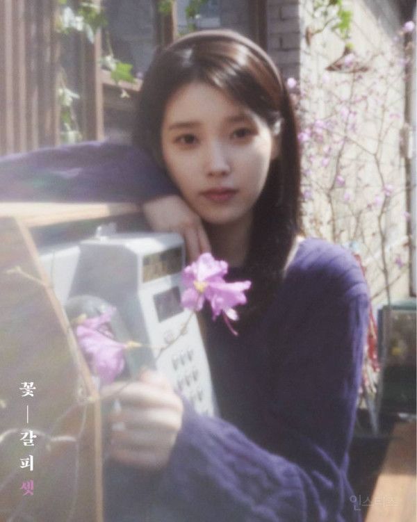 감다살 𝙅𝙊𝙉𝙉𝘼 미친 아이유 꽃갈피3 수록곡 &amp;lt;네모의 꿈&amp;gt; 티저…jpg | 인스티즈