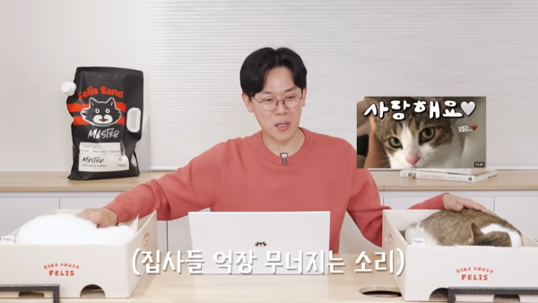 미야옹철-고양이는 집사를 사랑하지 않는다 | 인스티즈