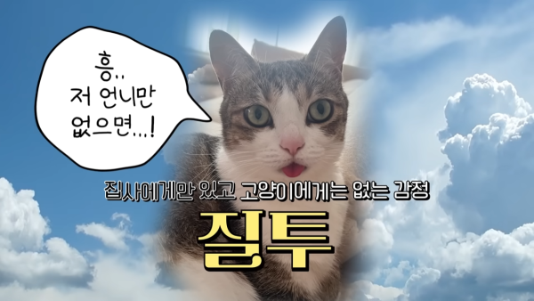 미야옹철-고양이는 집사를 사랑하지 않는다 | 인스티즈
