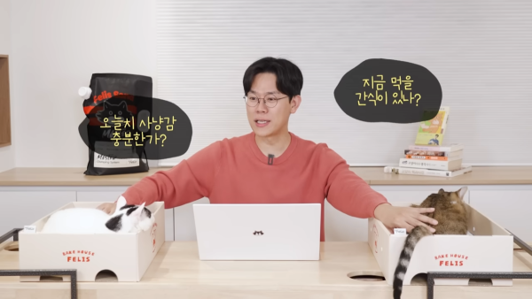 미야옹철-고양이는 집사를 사랑하지 않는다 | 인스티즈