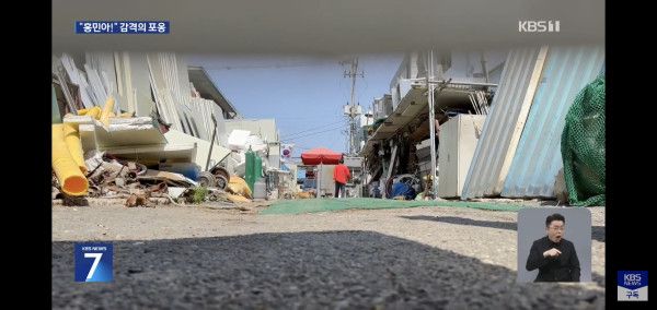 잃어버린지 41일만에 혼자 집 찾아 와 뉴스 탄 진돗개 손홍민이.jpg | 인스티즈