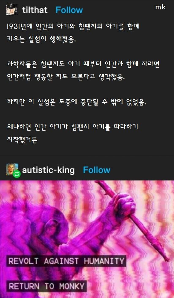 4 침팬지를 인간처럼 만드는 실험이 실패한 이유.jpg