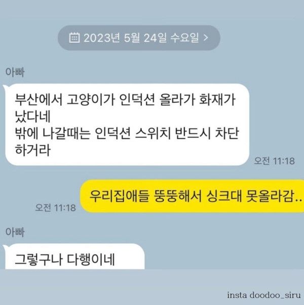 5 고양이가 인덕션 못 건드리게 하는 법 확대하면 됨.jpg