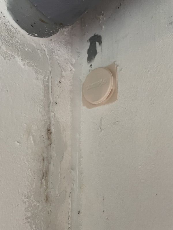 초월적 존재가 음식을 줬다._1.jpg