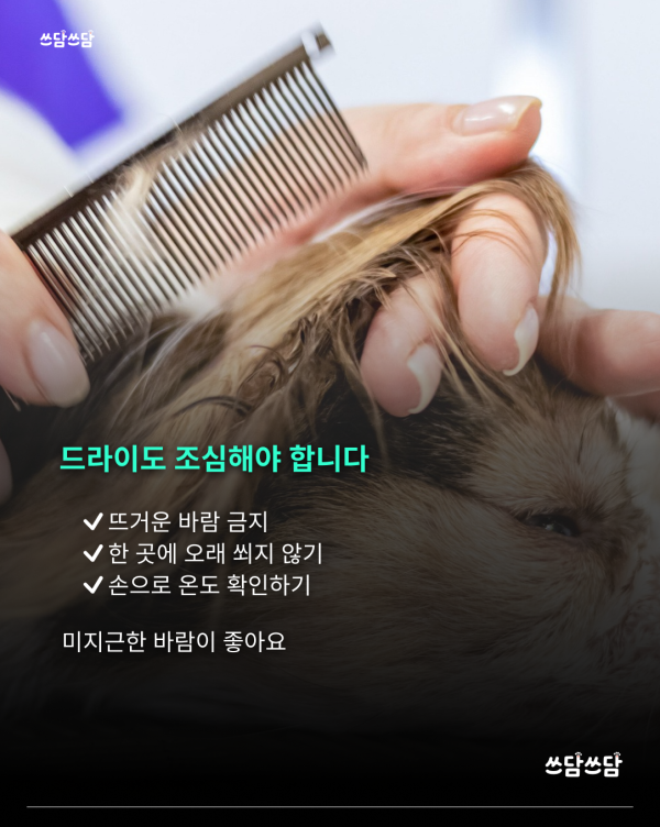 KakaoTalk_20260805_160816428_04.png