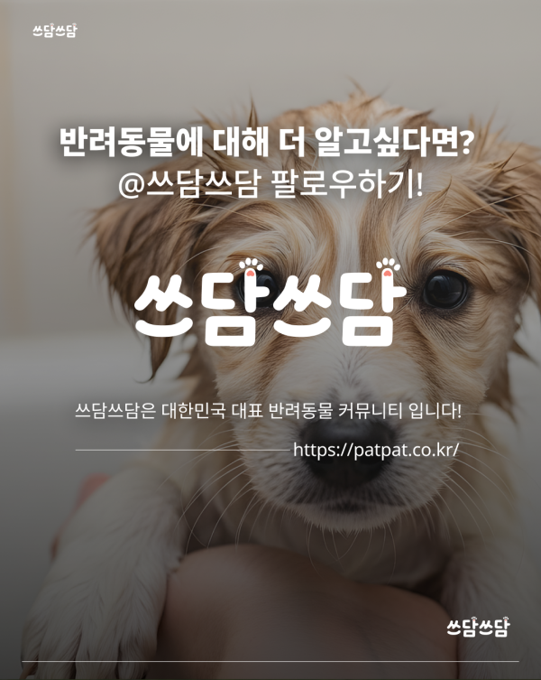 KakaoTalk_20260805_160816428_07.png