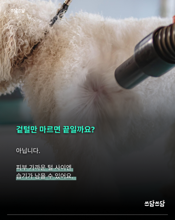 KakaoTalk_20260805_160816428_01.png