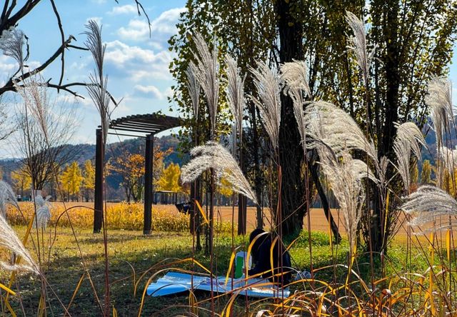 여주 강천섬 유원지 사진. / 여주시 블로그