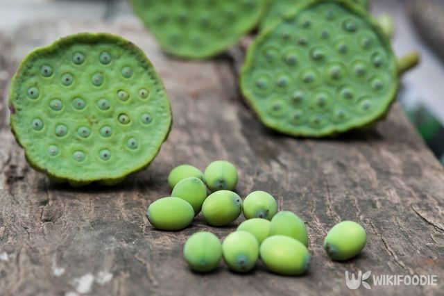 연자육 사진. /&nbsp;Orapin Joyphuem-shutterstock.com